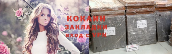 спиды Богородицк