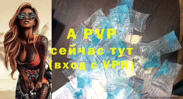 спиды Богородицк