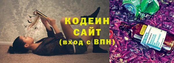 спиды Богородицк